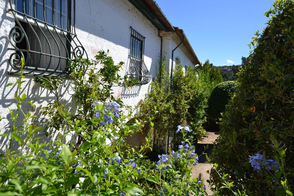 Casa Do Campo - Turismo De Habitacao Bed & Breakfast Селорику ди Бащу Екстериор снимка